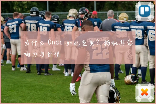 为什么 Oner 如此重要?揭秘其影响力与价值