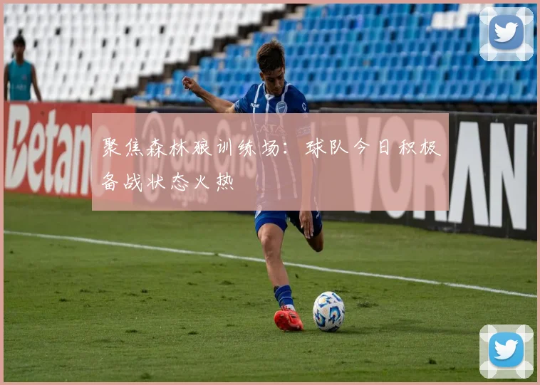 聚焦森林狼训练场：球队今日积极备战状态火热