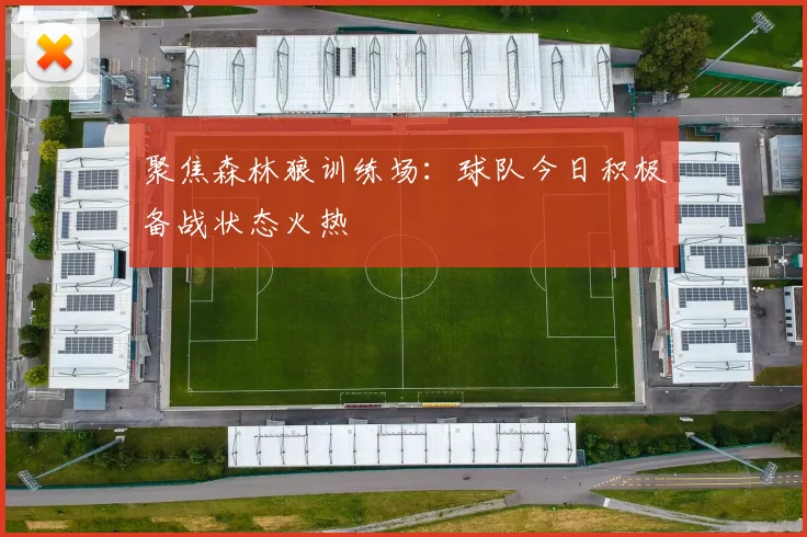 聚焦森林狼训练场:球队今日积极备战状态火热
