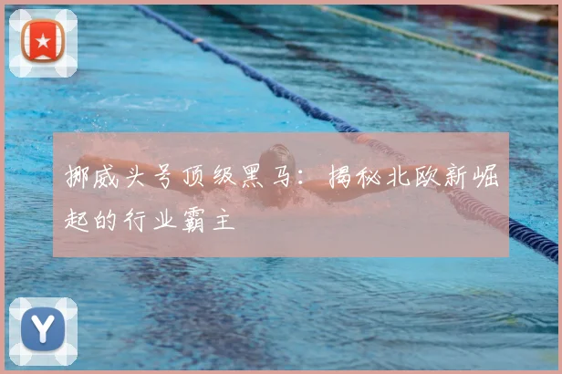 挪威头号顶级黑马:揭秘北欧新崛起的行业霸主