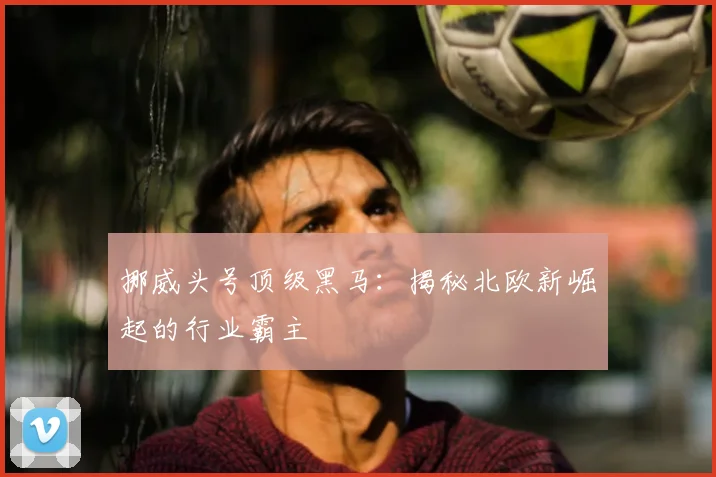 挪威头号顶级黑马：揭秘北欧新崛起的行业霸主