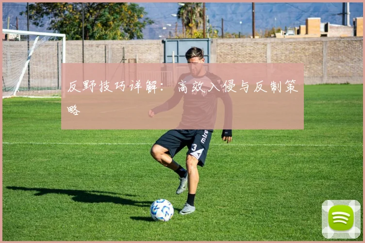 反野技巧详解:高效入侵与反制策略